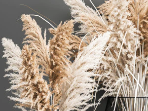 decorative bouquet of dried pampas grass 193 3D Model