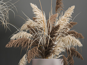 pampas grass in a flowerpot for the interior 1061 Modèle 3D