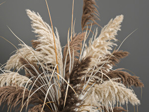 pampas grass in a flowerpot for the interior 1061 Modèle 3D