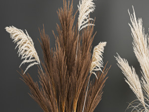decorative bouquet of dried pampas grass 194 Modelo 3D