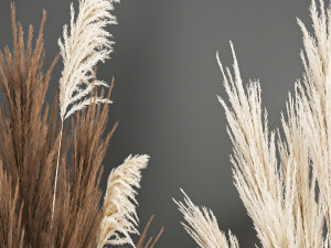 decorative bouquet of dried pampas grass 194 Modelo 3D