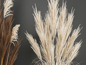 decorative bouquet of dried pampas grass 194 Modelo 3D
