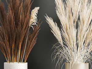 decorative bouquet of dried pampas grass 194 Modelo 3D