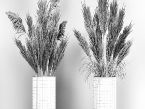 decorative bouquet of dried pampas grass 194 Modelo 3D