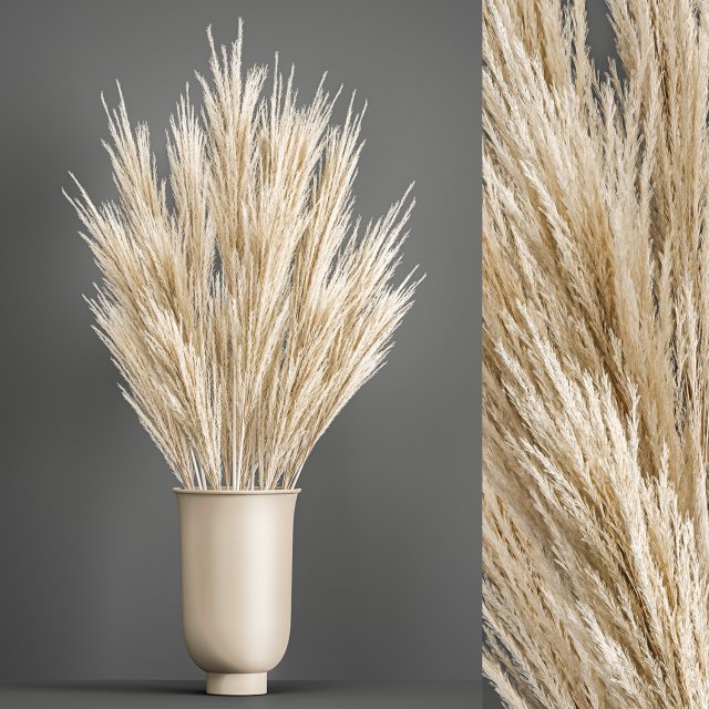 decorative bouquet of dried pampas grass 195 3D 모델 .c4d .max .obj .3ds .fbx .stl .blend 