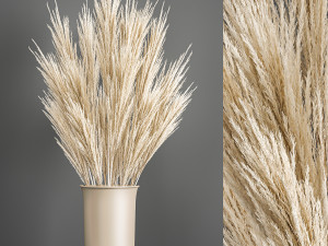 decorative bouquet of dried pampas grass 195 3D Model