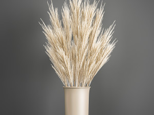 decorative bouquet of dried pampas grass 195 3D 모델