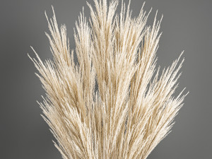 decorative bouquet of dried pampas grass 195 3D 모델