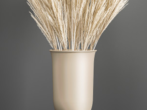 decorative bouquet of dried pampas grass 195 3D 모델