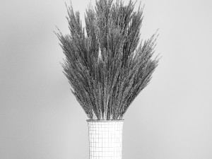decorative bouquet of dried pampas grass 195 3D 모델
