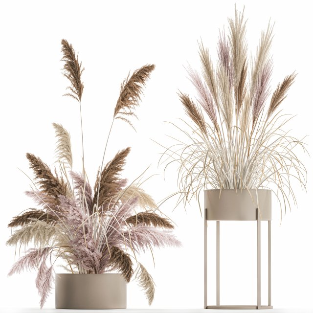 decorative bouquet of dried pampas grass 196 3Dモデル .c4d .max .obj .3ds .fbx .stl .blend 