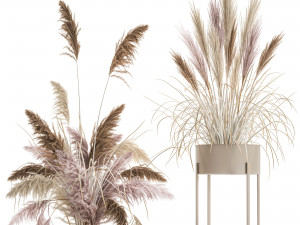decorative bouquet of dried pampas grass 196 3D मॉडल