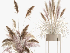 decorative bouquet of dried pampas grass 196 3D Model