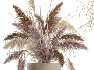 decorative bouquet of dried pampas grass 196 3Dモデル