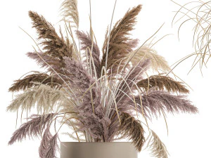 decorative bouquet of dried pampas grass 196 3D Model