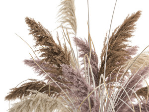 decorative bouquet of dried pampas grass 196 3Dモデル