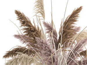 decorative bouquet of dried pampas grass 196 3D Model
