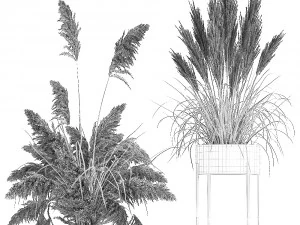 decorative bouquet of dried pampas grass 196 3D Model