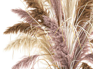 decorative bouquet of dried pampas grass 197 3D Model