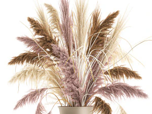decorative bouquet of dried pampas grass 197 3D Model