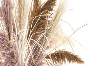 decorative bouquet of dried pampas grass 197 3D Model