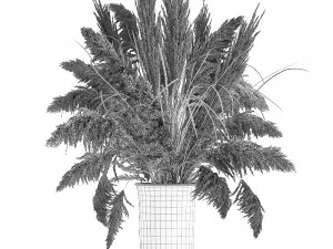 decorative bouquet of dried pampas grass 197 3D Model