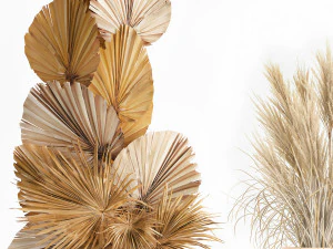 Hochzeitsbogen aus trockenem Schilf und Palmbl&auml;ttern f&uuml;r Dekor 1062 3D Modell