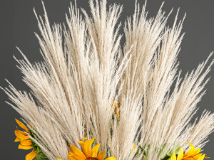 decorative bouquet of dried pampas grass 198 3D Model