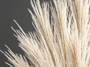 decorative bouquet of dried pampas grass 198 3D Model