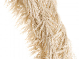 wedding arch made of dry reeds for decor 1063 3D Model