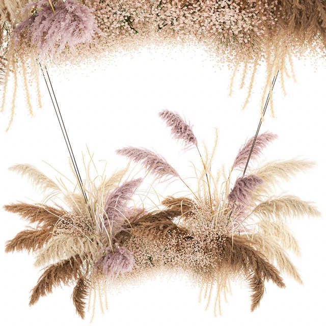 hanging decor of their dried pampas grass 200 3D Model .c4d .max .obj .3ds .fbx .stl .blend 