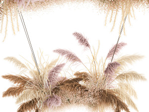 hanging decor of their dried pampas grass 200 3D Model