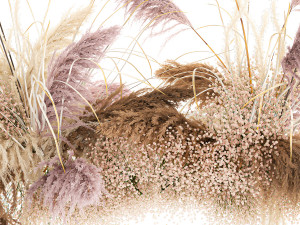 hanging decor of their dried pampas grass 200 3D Model