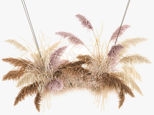 hanging decor of their dried pampas grass 200 3D Model