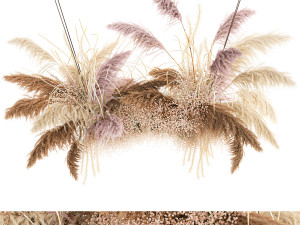 hanging decor of their dried pampas grass 200 3D Model