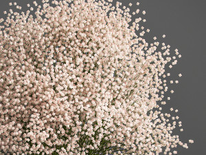 decorative bouquet of flowers in a vase for decor and interior design 201 Modelo 3D