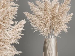 सफेद सूखे पम्पास घास का सजावटी गुलदस्ता 203 3D मॉडल