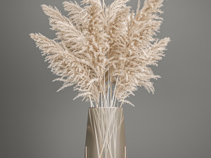 decorative bouquet of white dried pampas grass 203 3D 模型