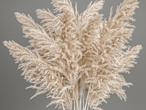decorative bouquet of white dried pampas grass 203 3D 模型