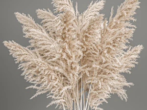 decorative bouquet of white dried pampas grass 203 3D Model