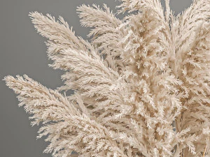 decorative bouquet of white dried pampas grass 203 3D Model