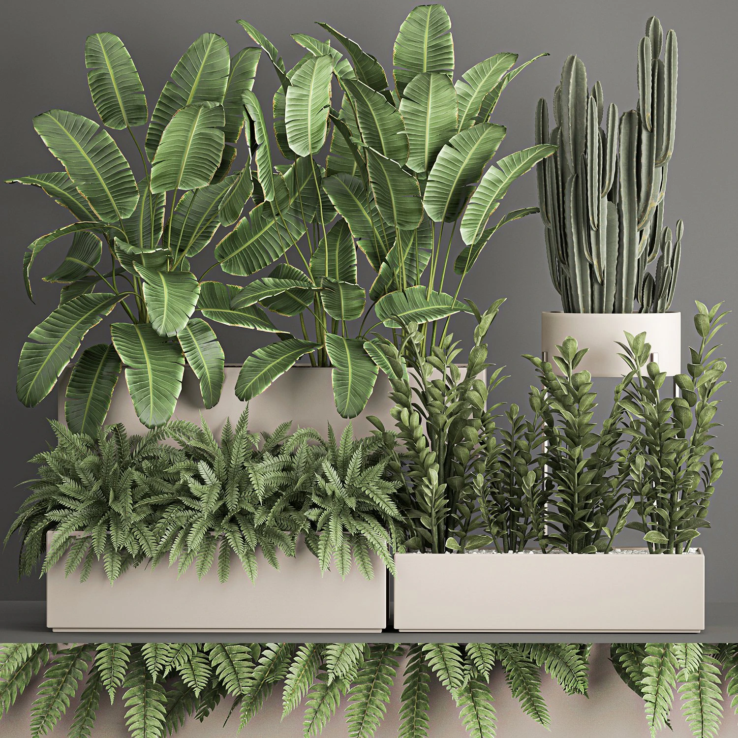 collection of plants from bushes and thickets for landscape design 1062 3D Model .c4d .max .obj .3ds .fbx .stl .blend 