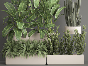collection of plants from bushes and thickets for landscape design 1062 Modelo 3D