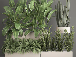 collection of plants from bushes and thickets for landscape design 1062 3D Model