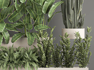 collection of plants from bushes and thickets for landscape design 1062 3D Model