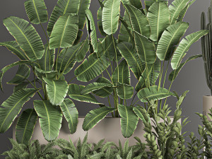 collection of plants from bushes and thickets for landscape design 1062 3D मॉडल