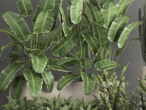 collection of plants from bushes and thickets for landscape design 1062 3D Model