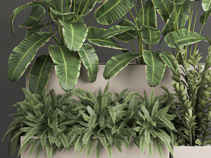 collection of plants from bushes and thickets for landscape design 1062 3D Model