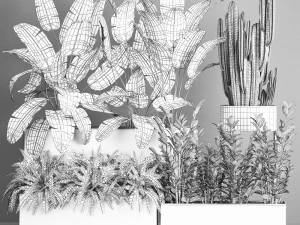 collection of plants from bushes and thickets for landscape design 1062 3D Model
