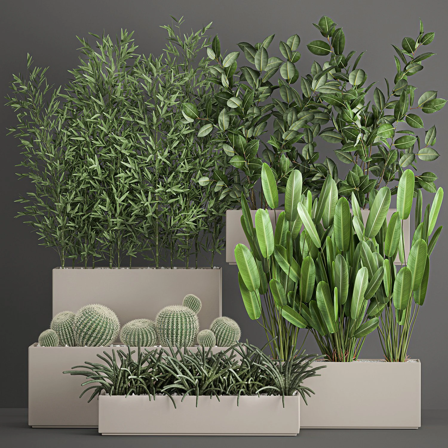 collection of plants from bushes and thickets for landscape design 1063 3D Model .c4d .max .obj .3ds .fbx .stl .blend 